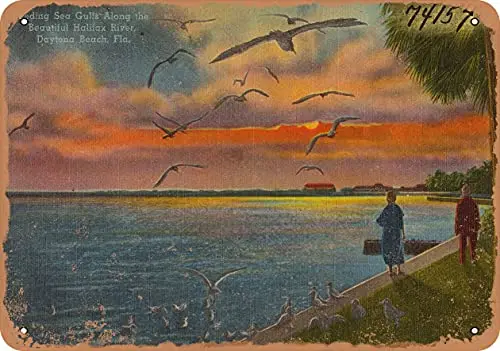 7 x 10 Metal Sign - Florida Postcard - Feeding Seagulls Along The Beautiful Halifax River, Daytona Beach, Flo - Vintage Rusty Lo