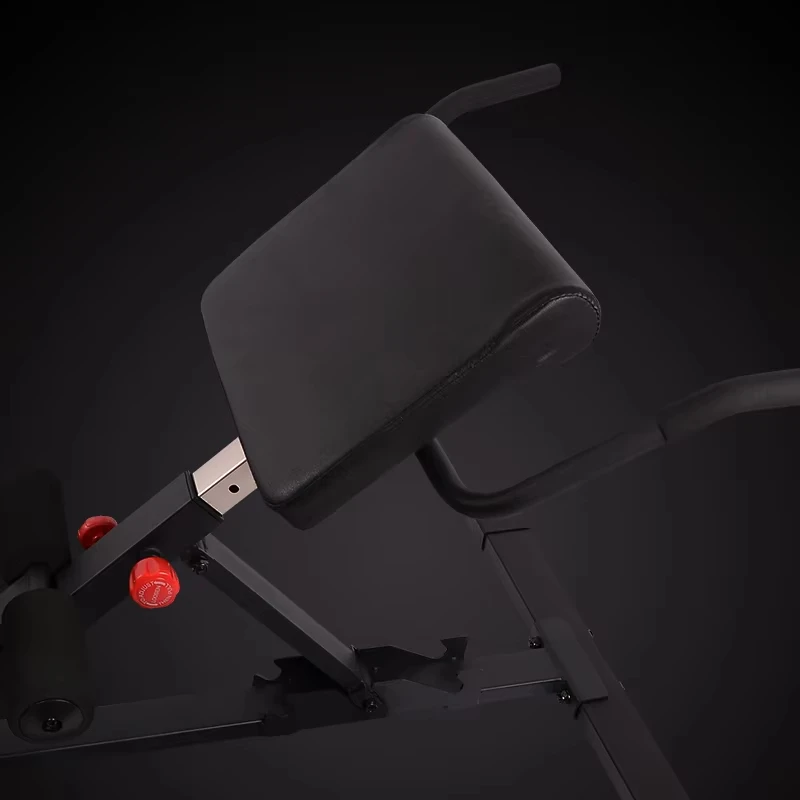 Hot Selling Adjustable Fitness Roman Chair Cheap Folding Dumbbell Bench with Tilt & Sit-up Features Quality Benches & Racks