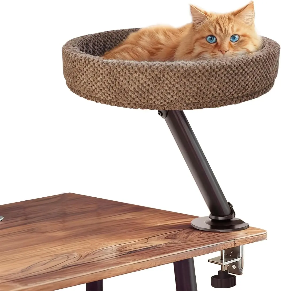 

Modern Desk Cat Bed for Tables, Supports Up to 40 lbs, Removable Indoor Cat Bed