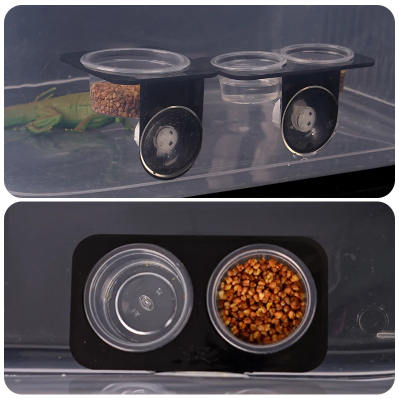 Reptile Feeder with Suction Cup Reptile Feeders Feeding Bowls  Food Container with Bowl for Reptile Food and Water Feeding