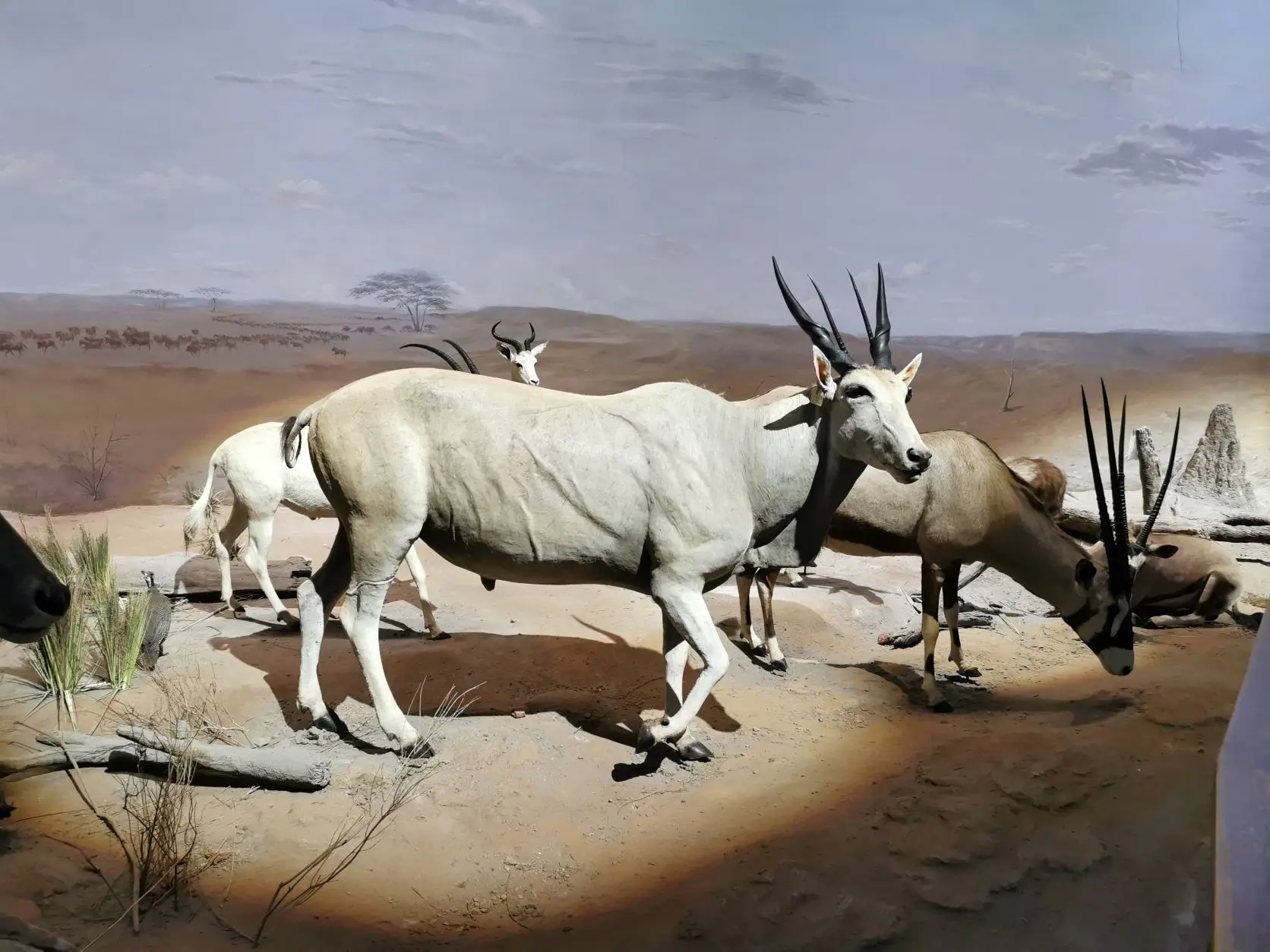 

Brushless Sensorless Motor 3674/3660/3650 4 Poles for 1:8 1:10 WLtoys HSP Tamiya Trxs GTR RC Off-Road Racing Buggy Cars