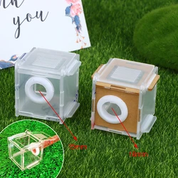 Square Ant Nest Acrylic Transparent Activity Area Ant Workshop Tube Connection Nest DIY Ants Farm House 15/18mm Caliber 7X7cm