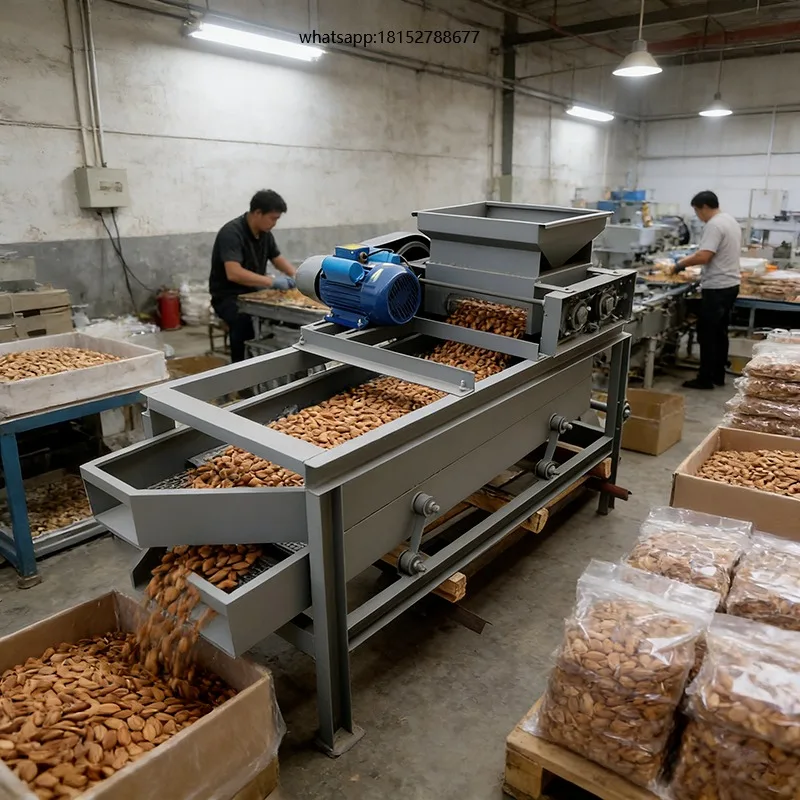 High Efficiency Almond Processing Machine 400kg/h Adjustable Nut Cracker Sheller for Almond Hazelnut and Walnut