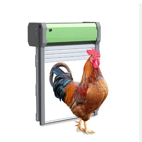 Automatic Chicken Coop Door Solar Powered Opener With Timer Light Sensor Remote Control Waterproof And Anti-Pinch Design