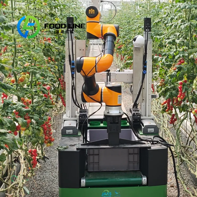Best Facility Tomato Harvesting Robot Collaborative Robot for Aggriculture Harvesting