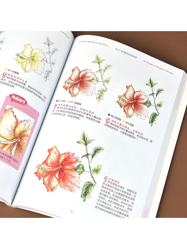 Book-Winshare Complete Self Study Tutorial on Colored Pencils Floral Moments