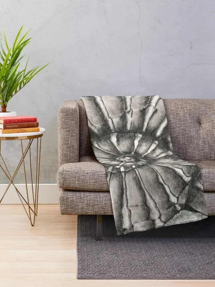 Ammonite Fossil on Gray Throw Blanket Camping For Sofa Thin Giant Sofa Blankets