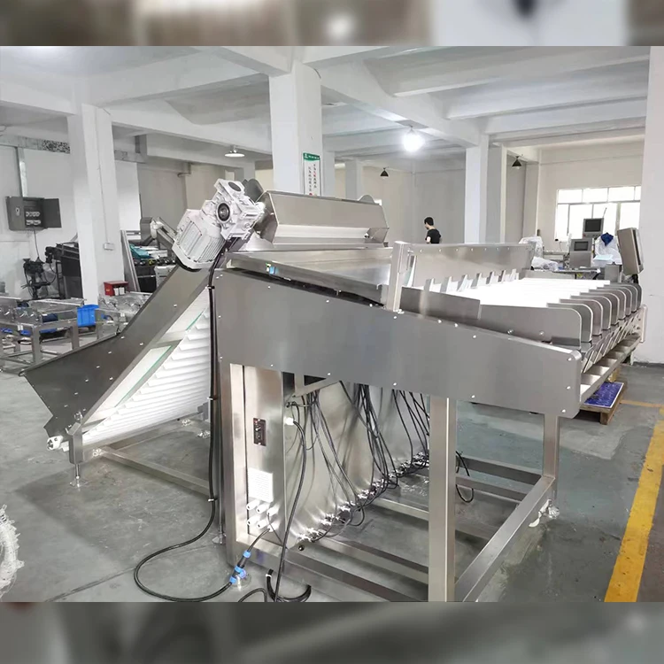 Máquina de embalagem e pesagem de classificação de mirtilo totalmente automática para venda