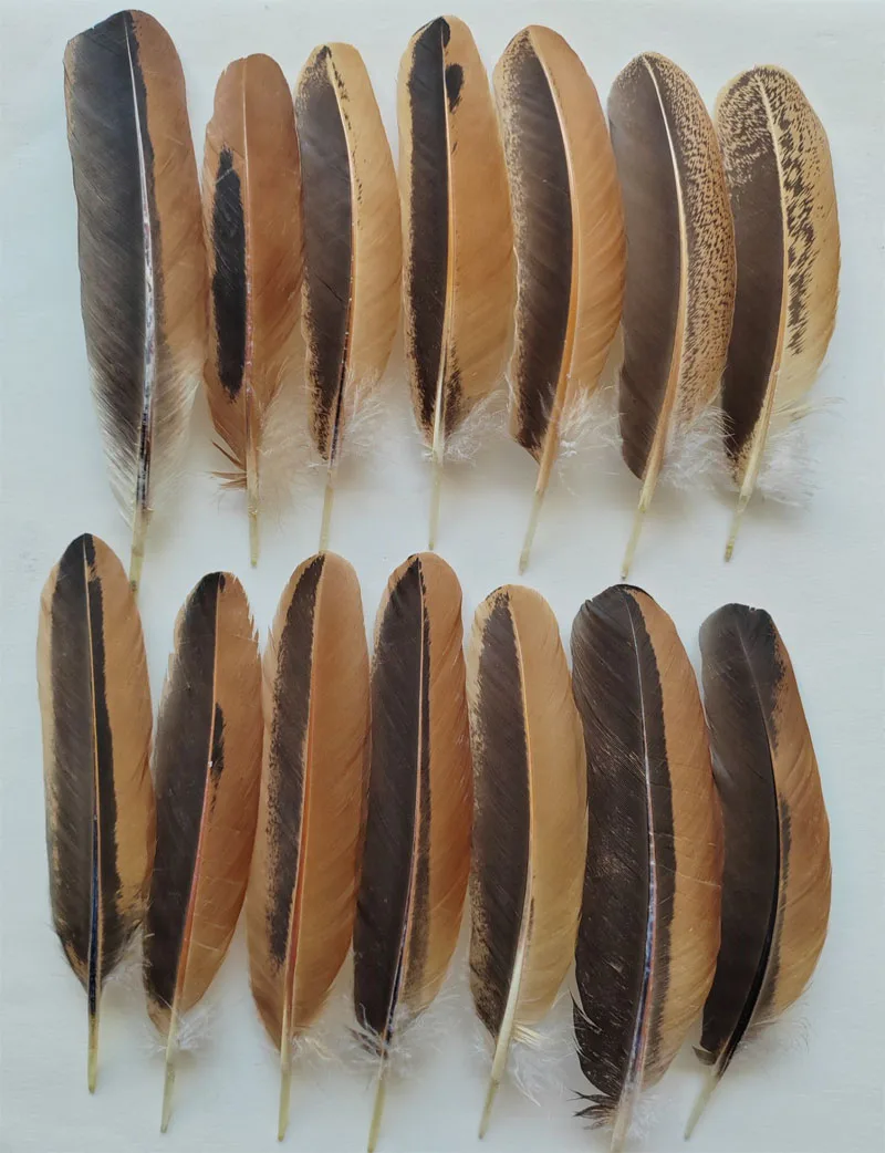 20 Piezas - Plumas Redondas de Gallina de Dos Tonos Marrón y Negro de 6-8 Pulgadas (15-20 cm), Plumas de Ala Raras para Danza/Manualidades