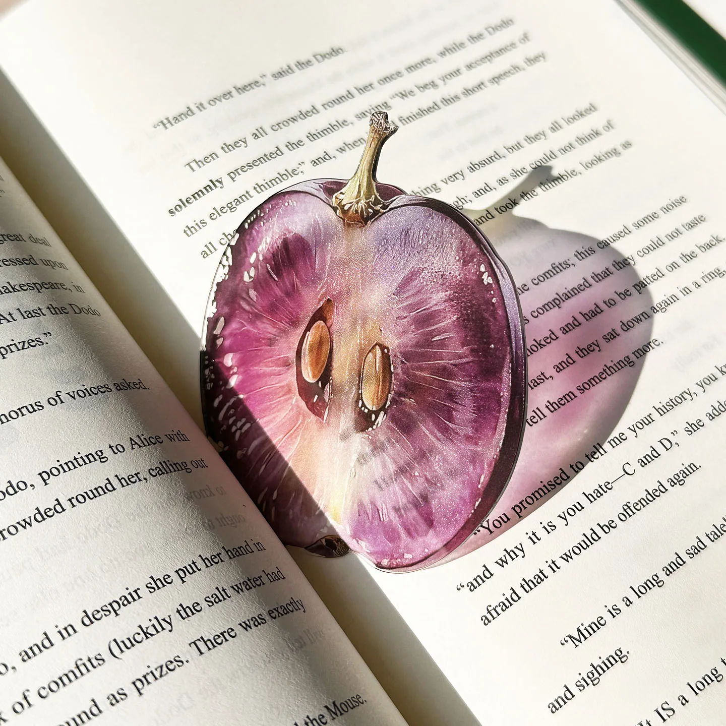

Translucent Fruit Bookmark 10Pcs/lot Watermelon Grape Apple Fig Fruit Bookmark Acrylic Bookmark Transparent Bookmark Gift