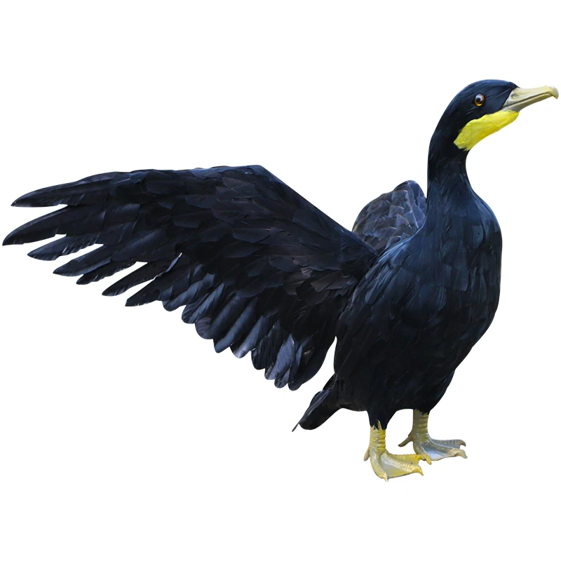 big real life wings cormorant model foam&furs black fish hawk bird garden decoration gift about 43x50cm xf2872