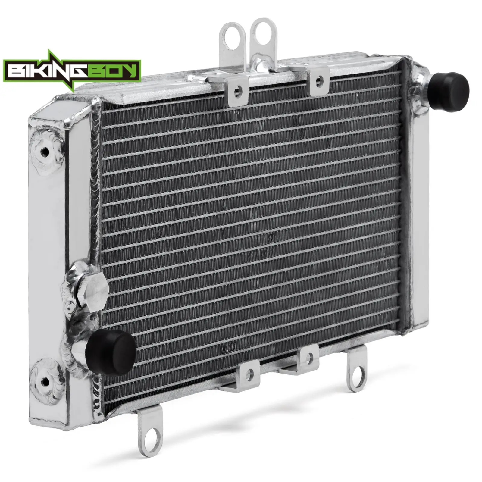 BIKINGBOY Engine Radiator Cooling For Honda CB1000R 21 22 23 24 CB1000F 93 94 95 96 Water Cooler CB 1000 R F Aluminium Core