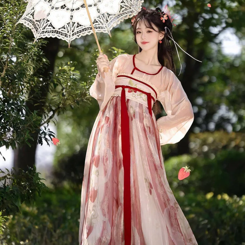 Hanfu female Tang Dynasty embroidery printing chest-length skirt fairy style daily national style spring and summer style