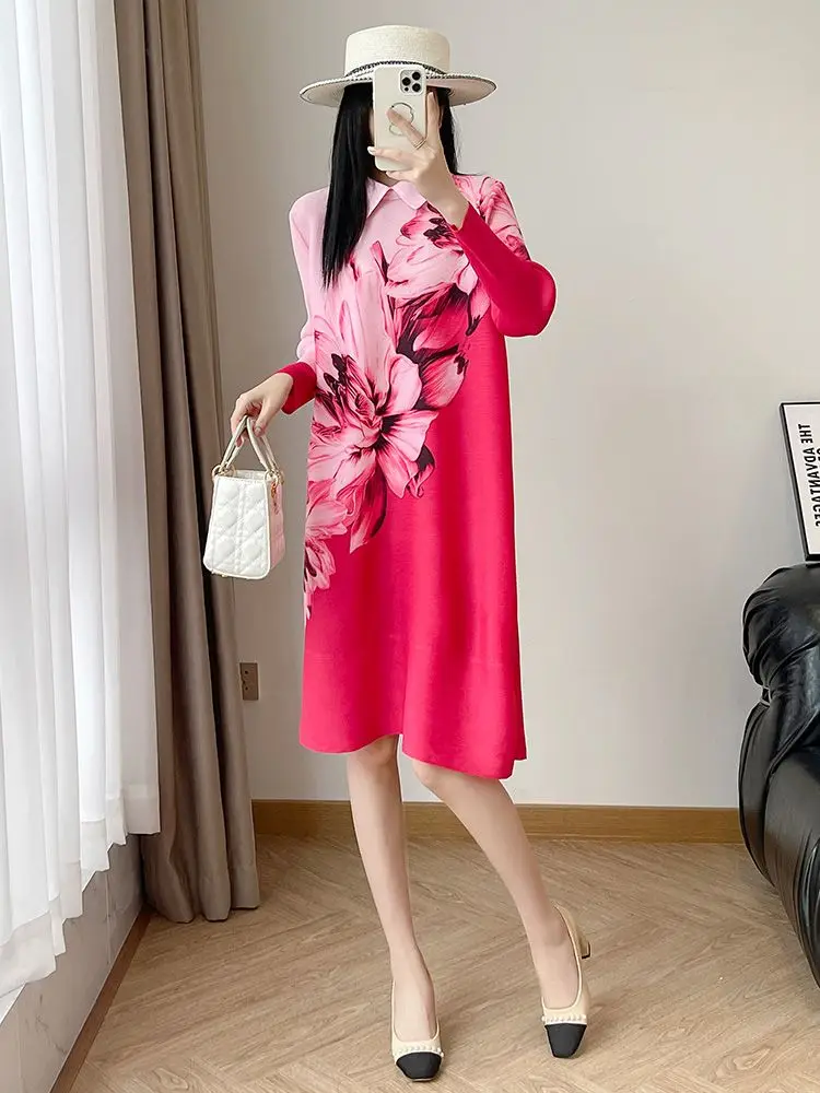 

Pleated dress for women's spring and summer new long sleeved loose and slimming temperament women's clothing