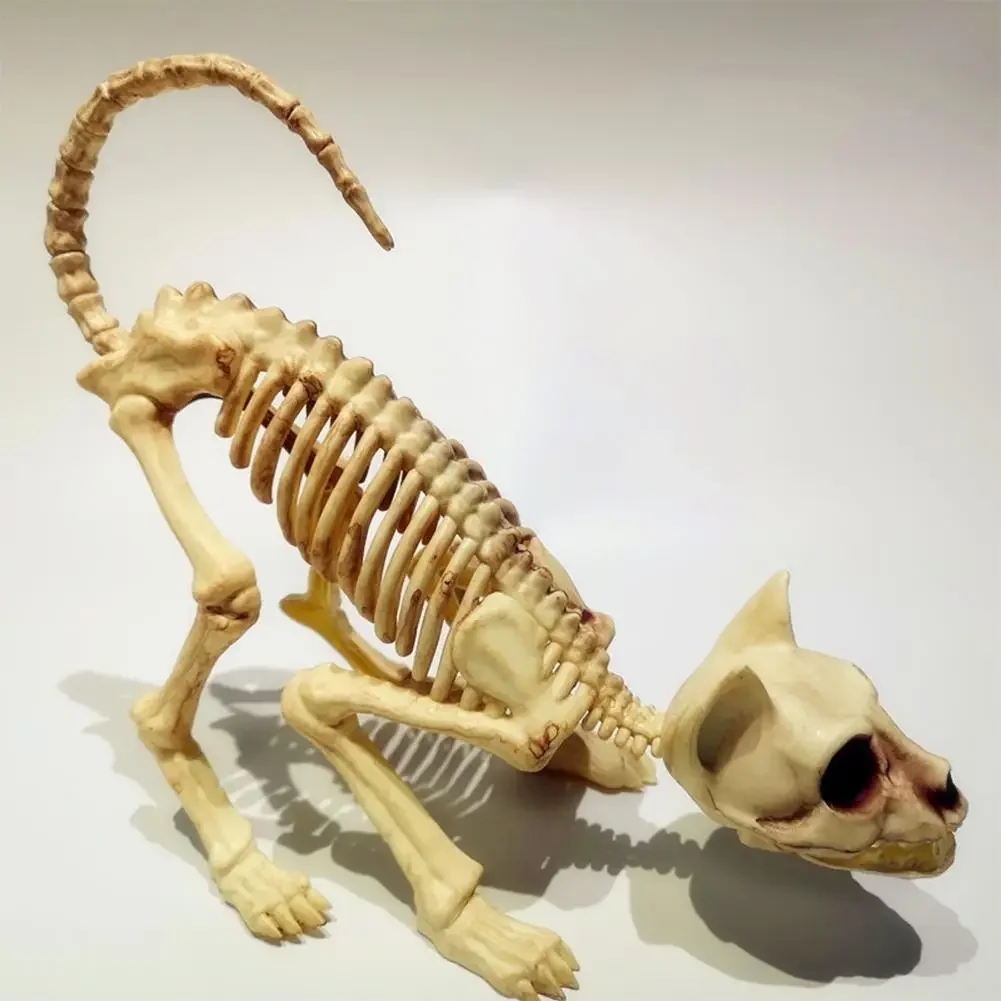Excellent Skeleton Cat Statue Realistic Looking Enhance Atmosphere Eco-friendly Creepy Animal Bones Yard Garden Decoration