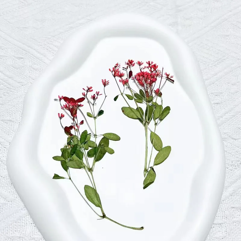 Variant: 9