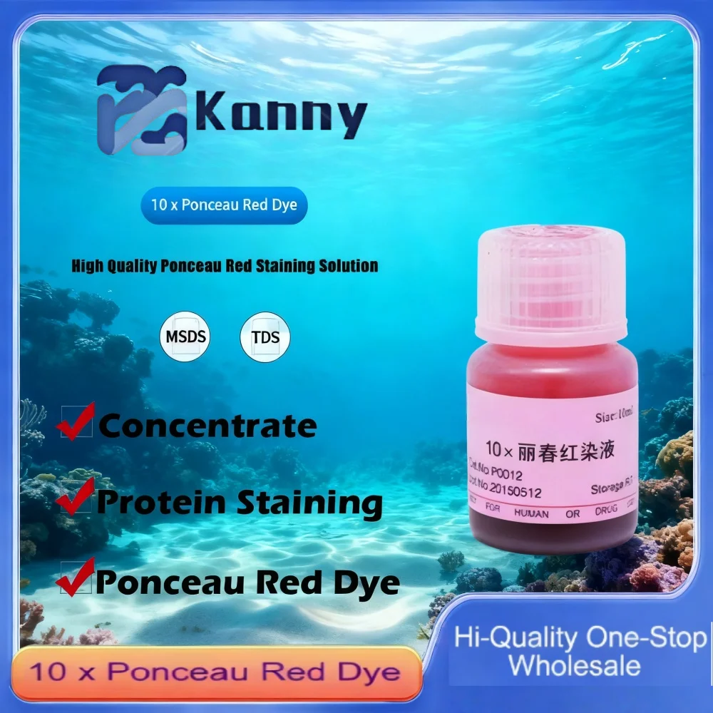 10 x Ponceau Red Dye for Protein Staining and Visualization in Laboratory Applications Original Product