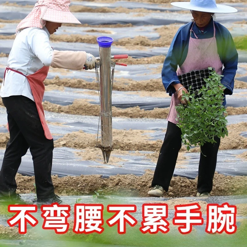 Planting Seedlings and Vegetables Artifact Seedling  Planter Seeder Transplanter Special Tools Manual Sowing Efficient
