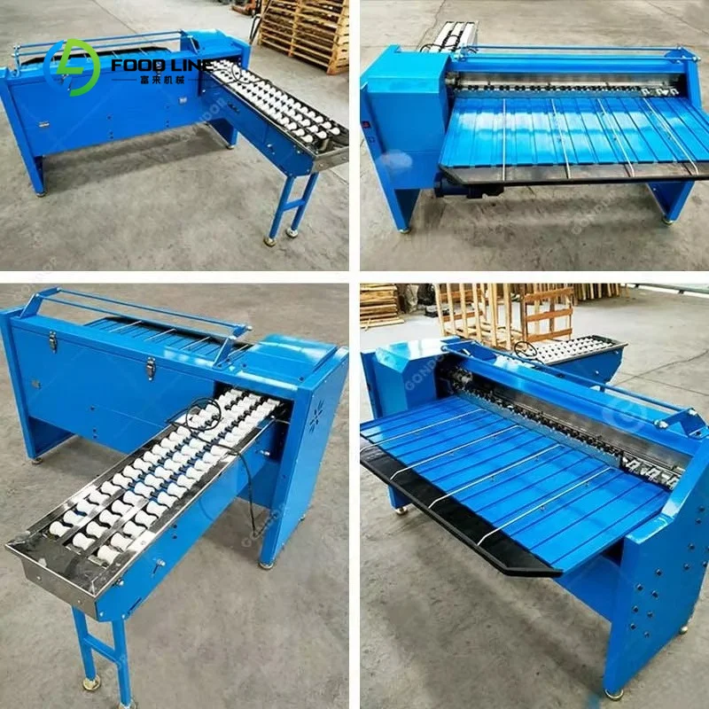 Customized China Manufactured Automatic Classifier Packing Quail Grader Weigh Sorting Egg Grading Machine for to Egge