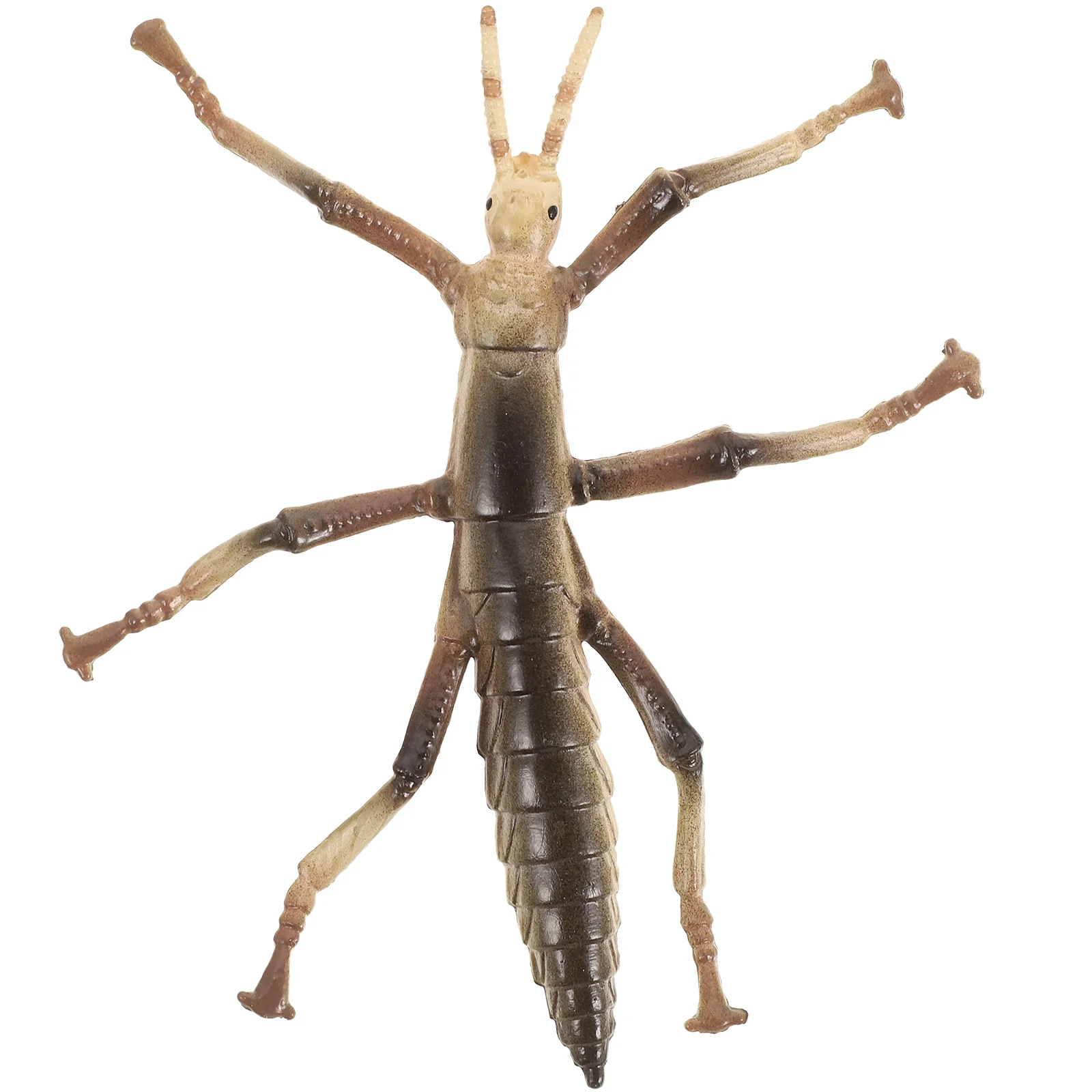 

Stick Insect Model Children Supply Insects and Bugs for Kids Plastic Toy Interesting Funny Toys Toddlers