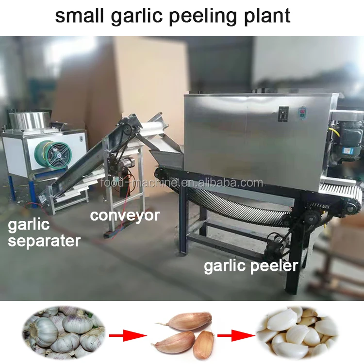 آلة خط إنتاج تقشير الجلد الصناعية الصغيرة والثوم الجاف #6
