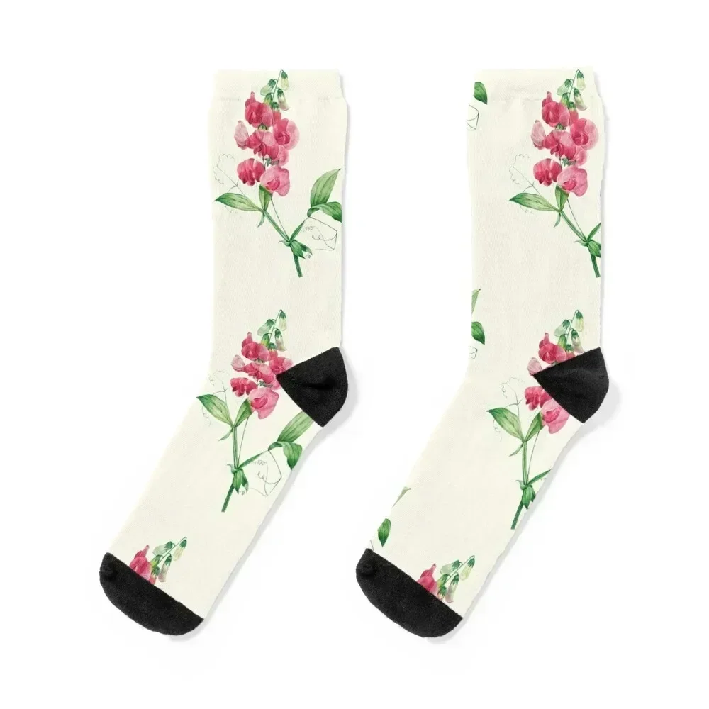 

Everlasting Pea - Botanical Illustration Socks new year sports and leisure Wholesale anti slip football Socks Male Women's