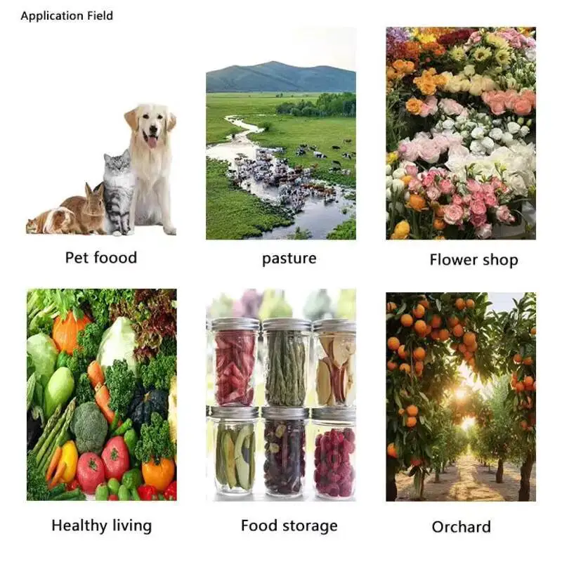 Small Capacity Freeze Drying Machine Household Freeze Dryer Home Lyophilizer For Drying Equipment On Sale