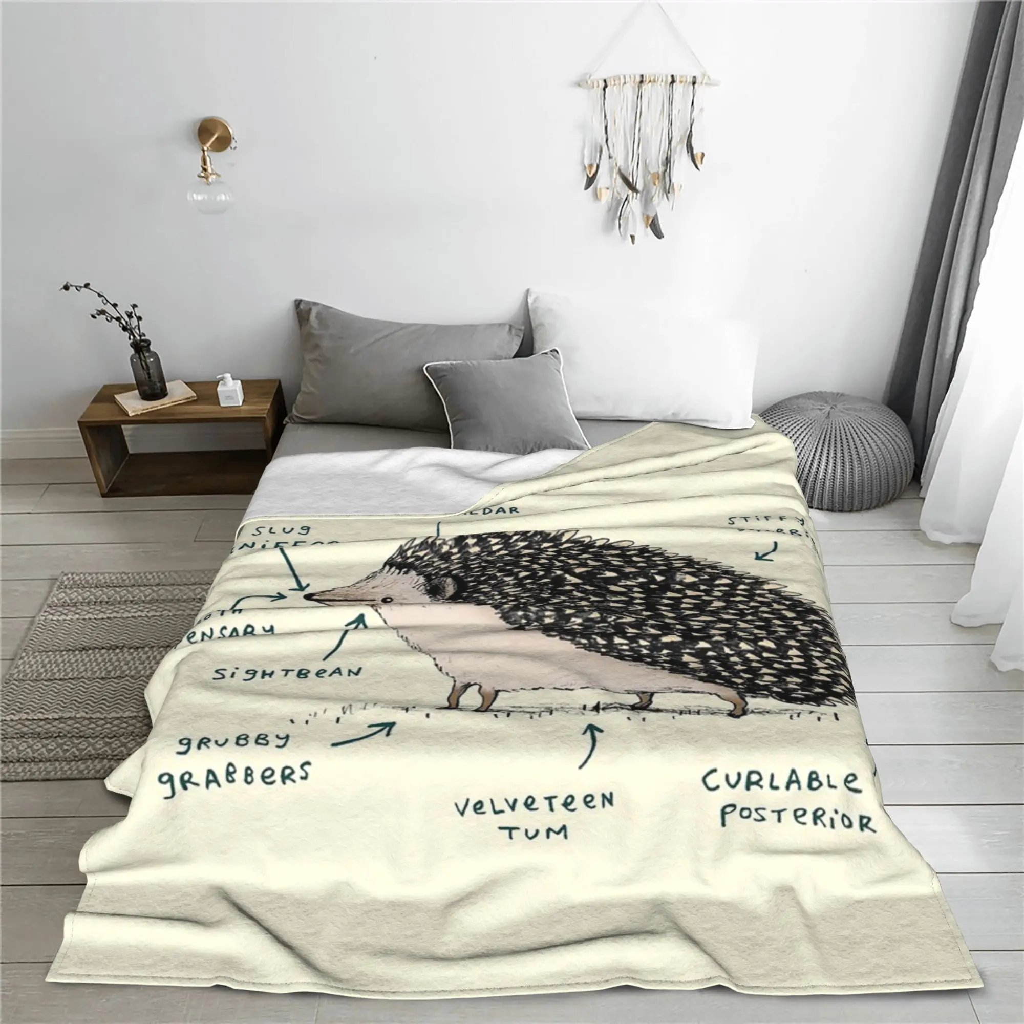 Anatomy of a Hedgehog Blanket Super Soft Fleece Sofa Throw Blanket for Couch Bedding Outdoor Throws Bedspread Quilt