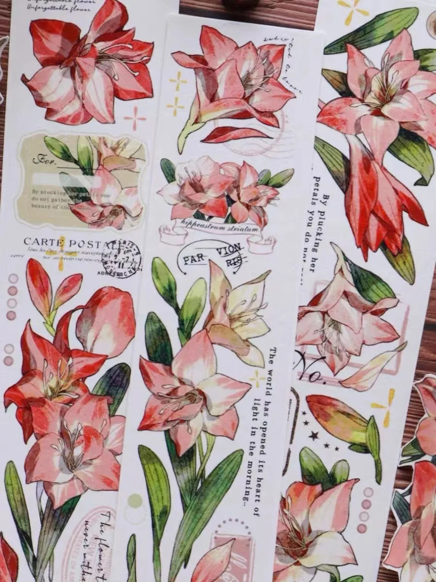 Vintage Amaryllis Floral Washi PET Tape for Planner Card Making DIY Scrapbooking Plan Decorative Sticker