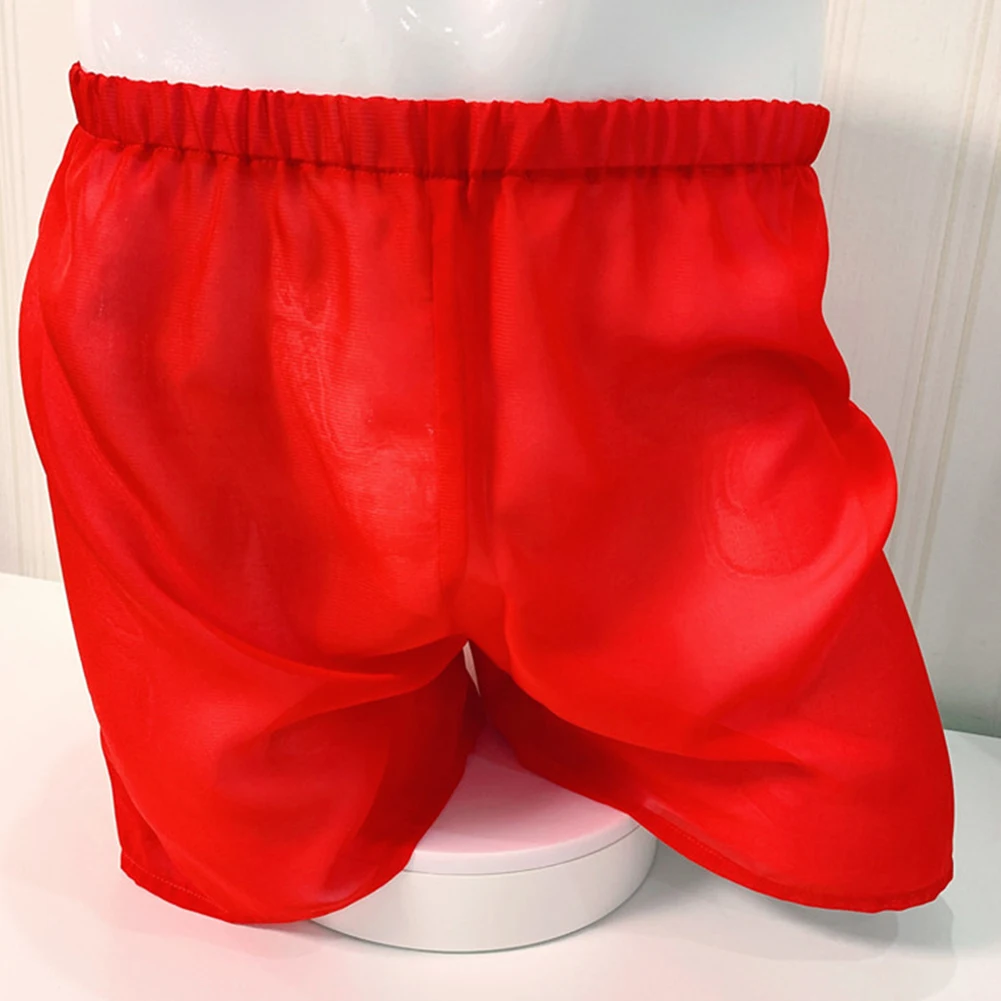 Sexy Men See-Through Silky Briefs Cock Bulge Underwear Shorts Trunks Underpants Elastic Male Panties Sissy Erotic Lingerie