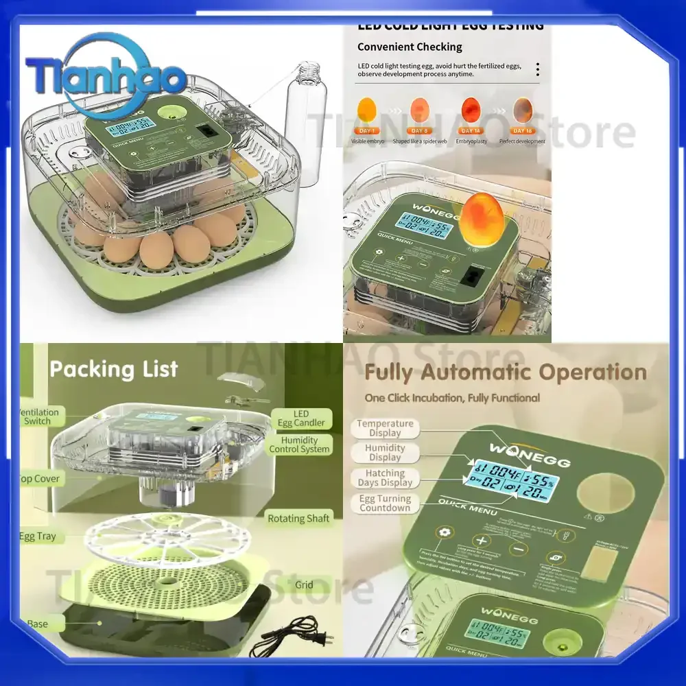 Solar Automatic Egg Incubator for Chicken Quail Duck Parrot Eggs 12 Capacity New Trend Incubator for Solar Powered Use