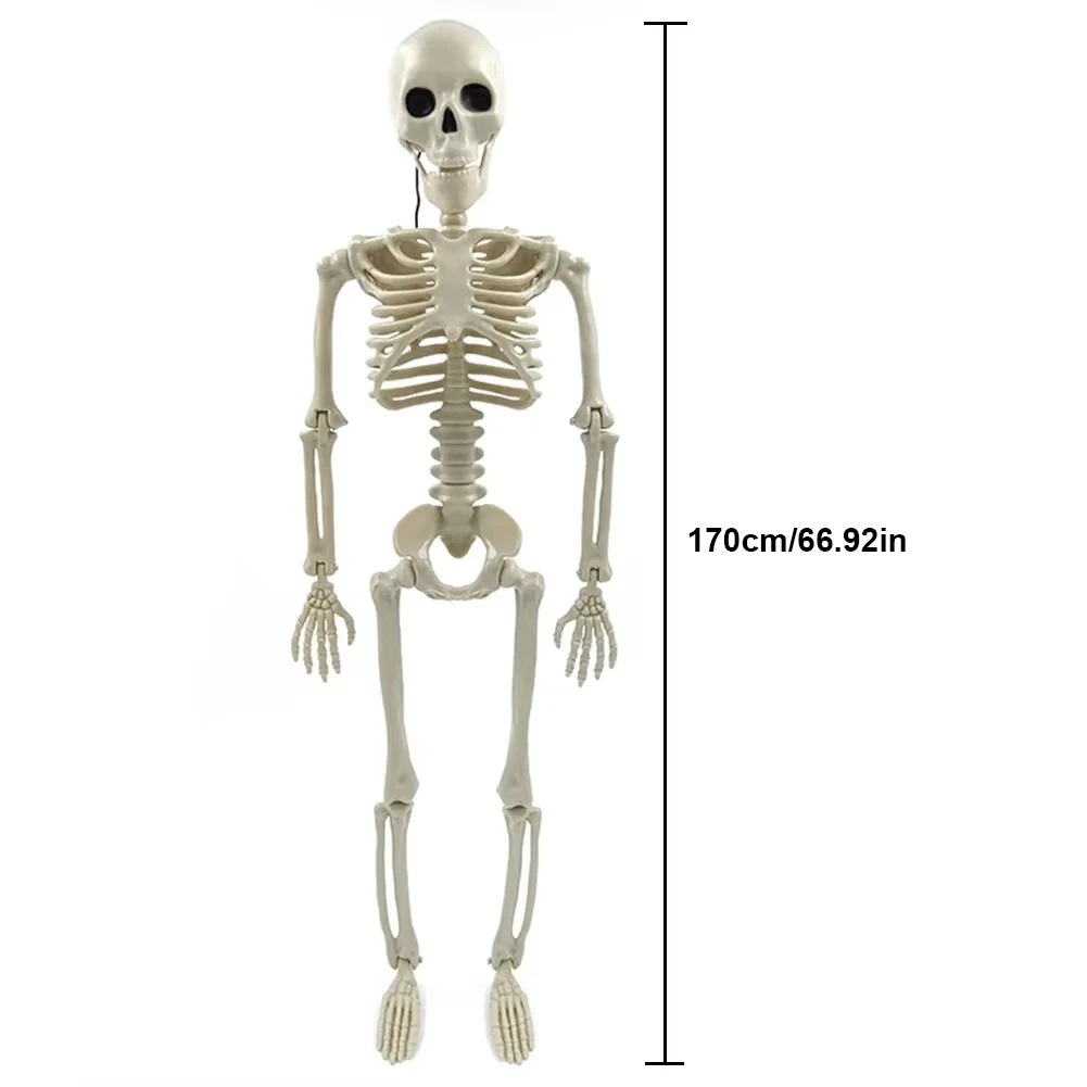 Halloween-dekorative Totenkopf-Skulptur, bewegliche/posable Gelenke, menschliche Skelettfigur in voller Größe für Hof, Garten, Terrasse, Spukhaus