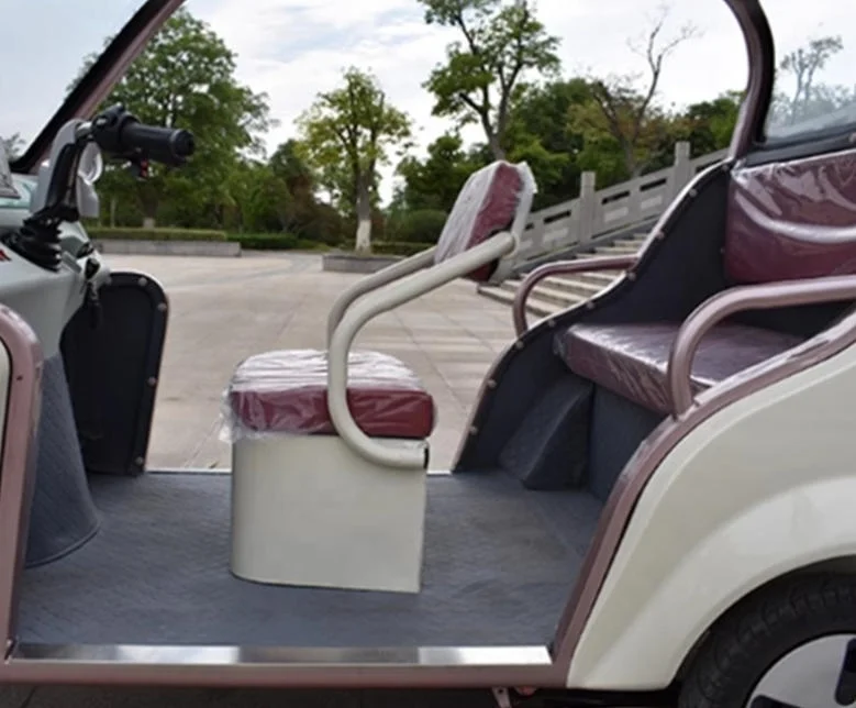 حديقة مخصصة لمشاهدة معالم المدينة والنقل السياحي مثالية لدراجة ثلاثية العجلات الكهربائية للبالغين للرحلات الحضرية للركاب #4