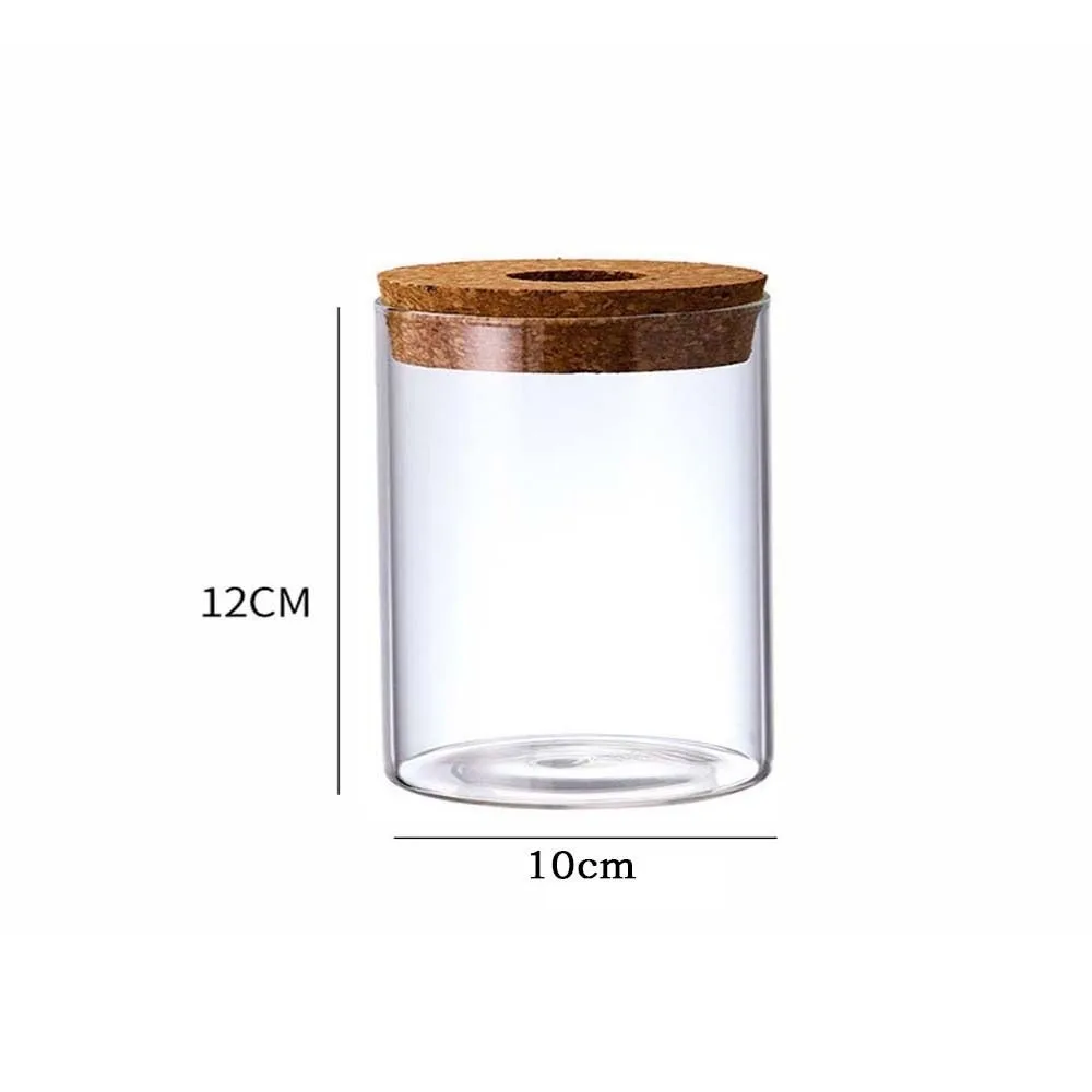 

Transparent Hydroponic Plants Flower Pot Glass Round Transparent Glass Pots Mini Thickened Ecological Glass Vase Living Room