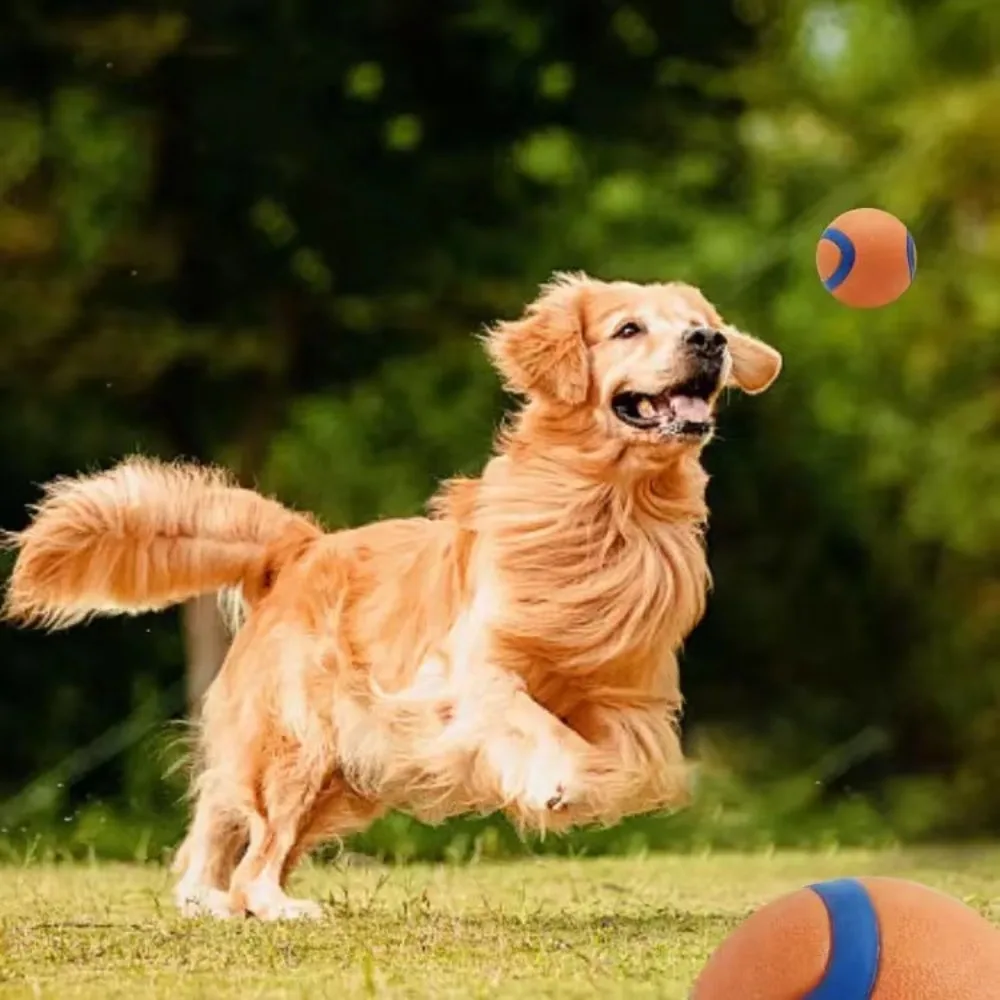 Thumbnail 2 - #38 Best Puppy Chew Toys to Buy In 2026