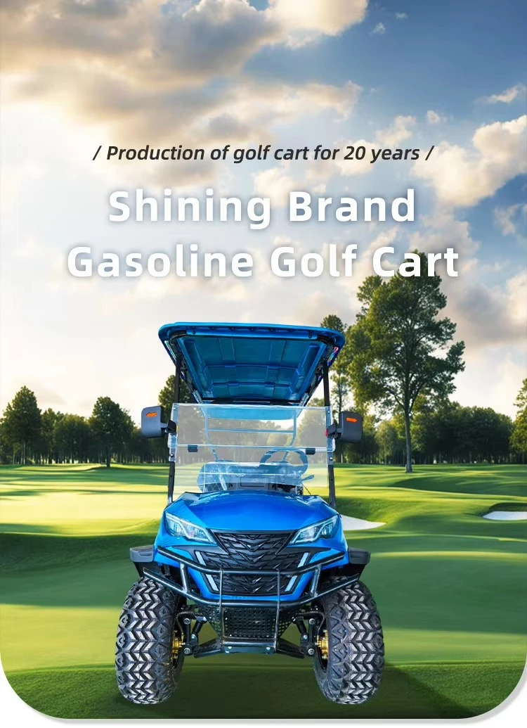 Ce Brown Gas Golf Cart with Oil Cooler 2 Seat Gas 300CC Oil Cooler Steel Free Custom logo 15L Fuel tank Capacity