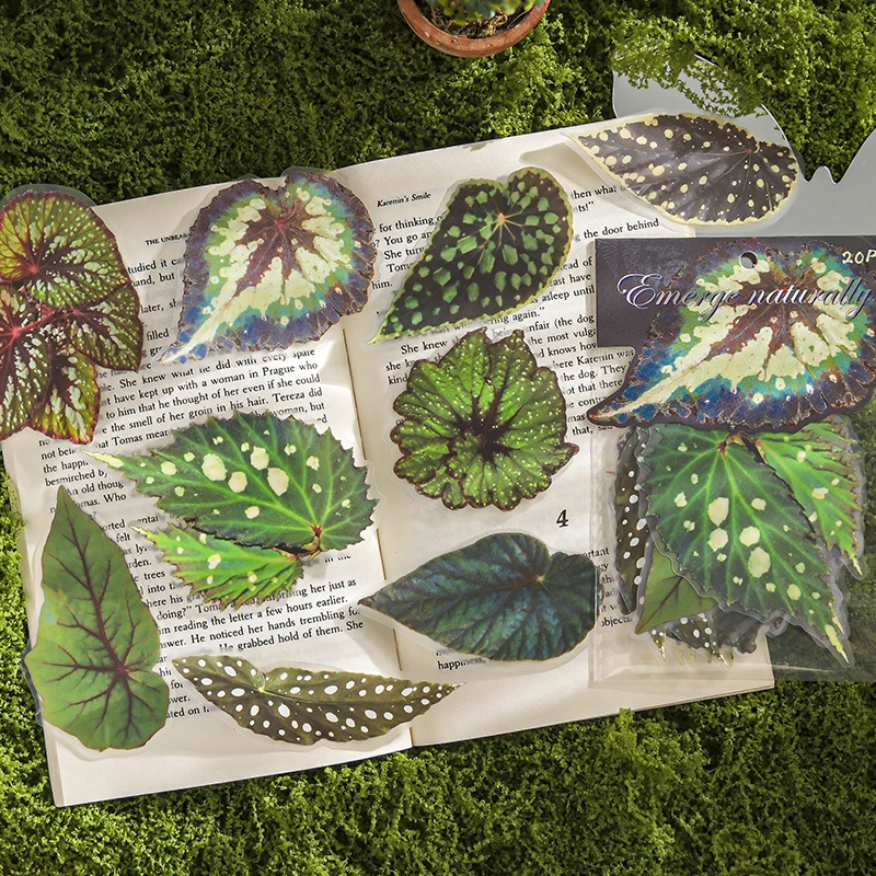 20 個植物花葉 PET ステッカーパックハンドアカウントコラージュジャンクジャーナルプランナースクラップブッキング装飾文具ステッカー