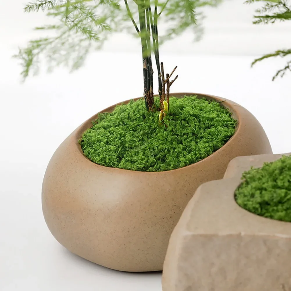 30/50/100g Eternal Life Moss DIY Crafts Grass Artificial Green Plants Home Room Garden Decor Mini Landscape Fake Grass