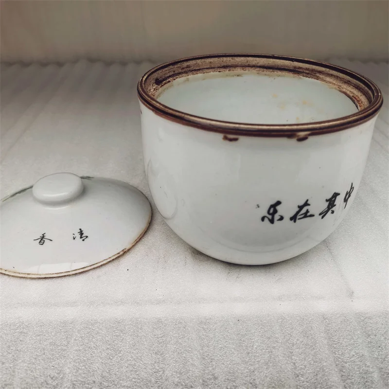 China Old Porcelain Covered Bowl Storage Jar Pastel Fish Pattern Antique Asian Decorative Kitchenware