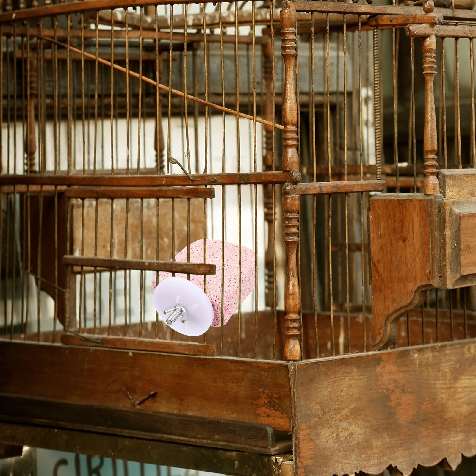 

Bird Perch Stand Sturdy Wear-Resistant Multi-Functional Parakeet Cockatiel Accessories Easy Install Pet Health