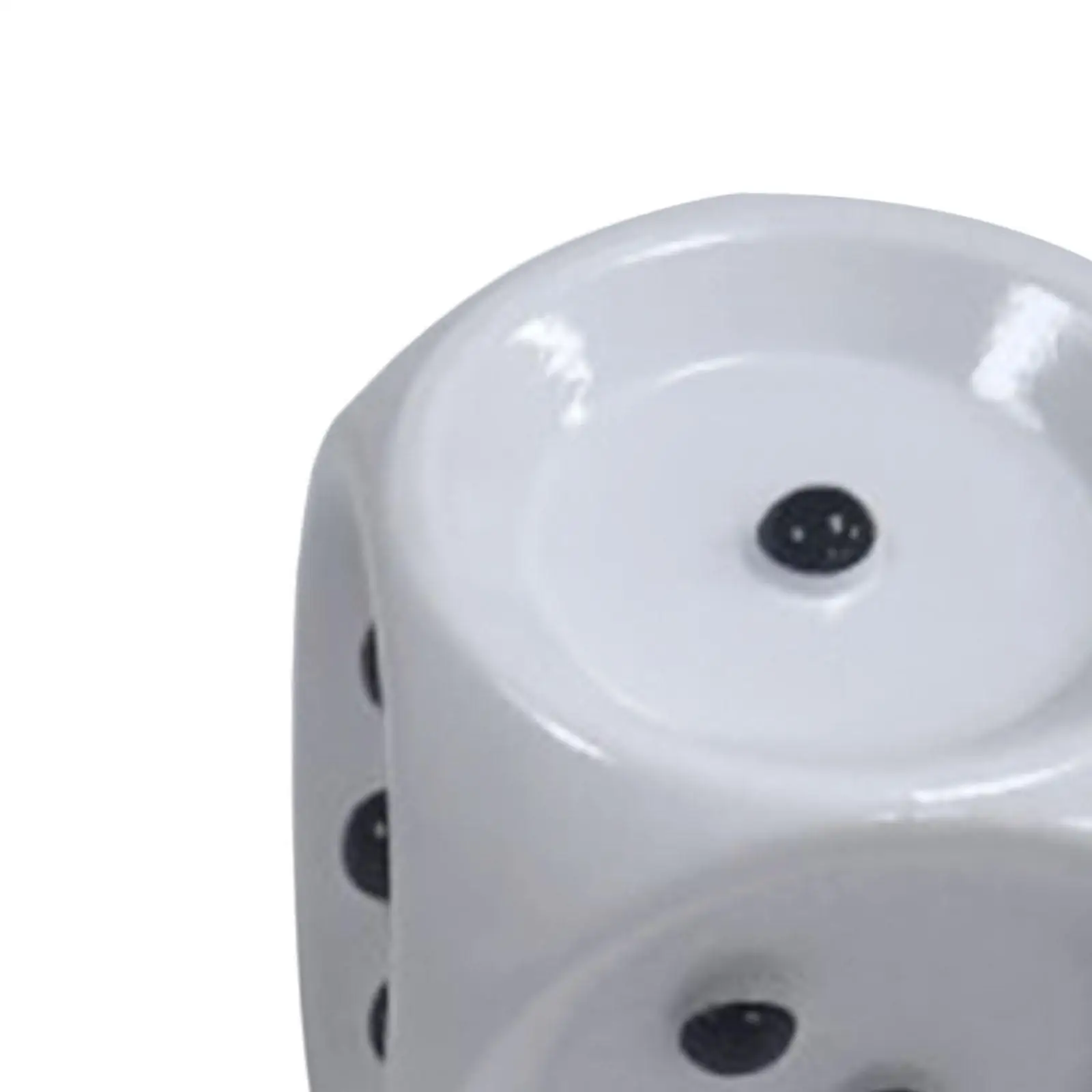 White Braille Tactile Dice Raised Pip Accessible Dice Durable ABS for Educational Party Entertainment