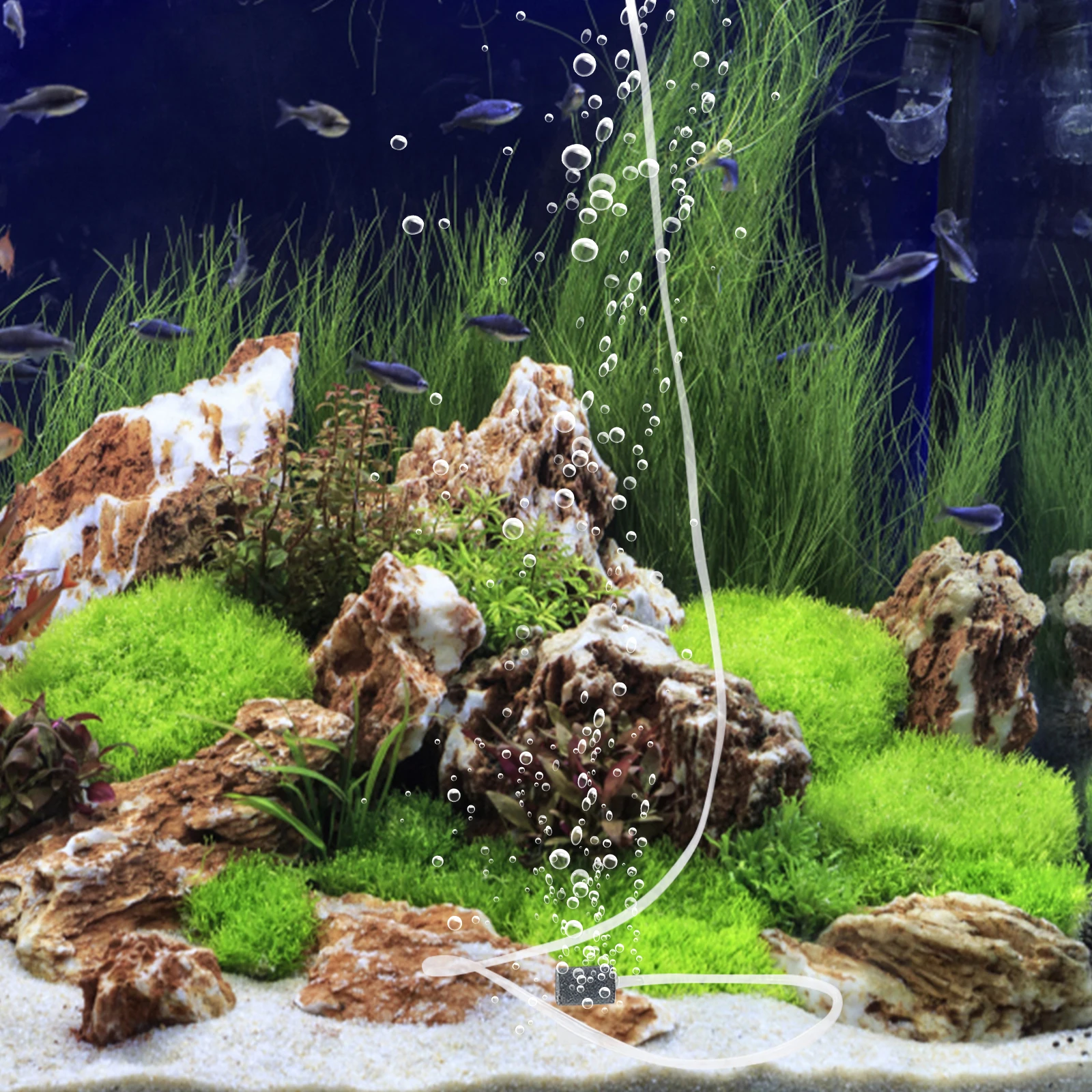 

1 set 1 Set Portable Oxygen Pump Usb Charging Mute Air Aerator For Aquarium Fish Tank Plastic Aerator Pump Fish Tank Accessory