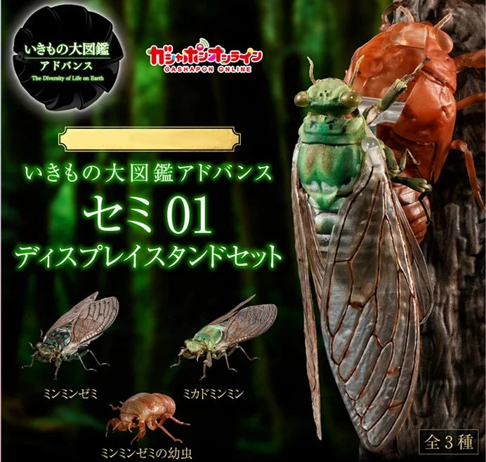 Bandai Twist Egg Biological Big Picture Cicada Spot Through Wing Cicada Wing Cicada Larvae Around The Table Decoration