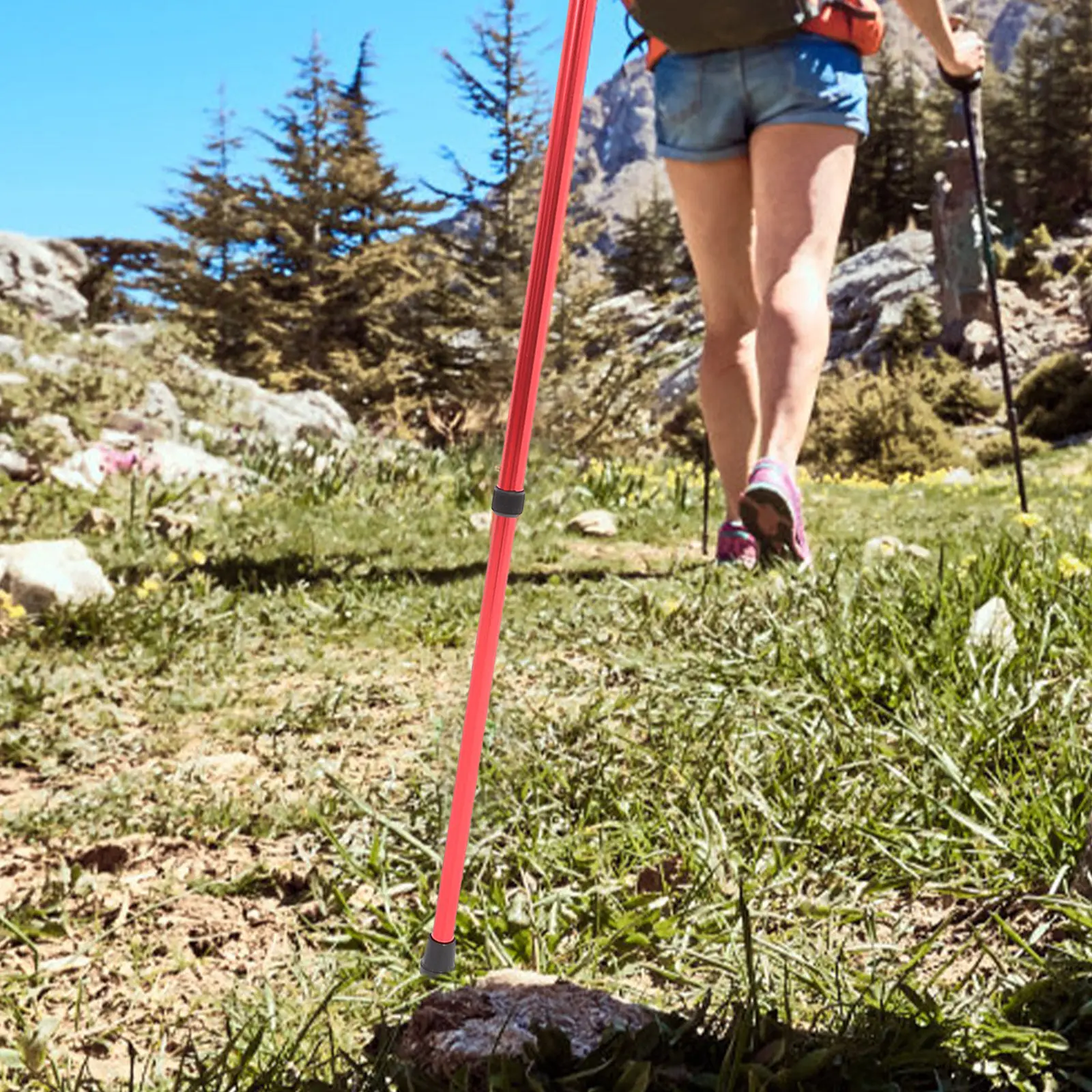 Telescopic Walking Cane Elderly Trekking Pole Ergonomic Handle Non-Slip Hiking Stick Portable Outdoor Walking