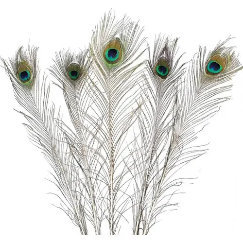 Nettenevime Peacock Feather 5 Pcs Real Feather 95 cm