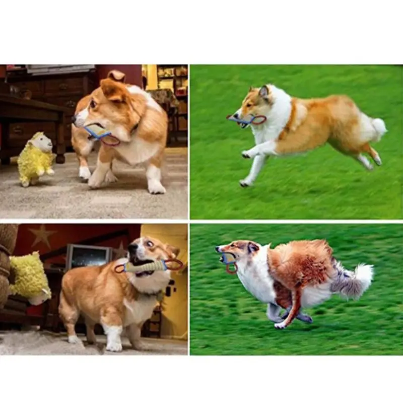 Thumbnail 4 - #16 Trending Puppy Fetch Toys Right Now