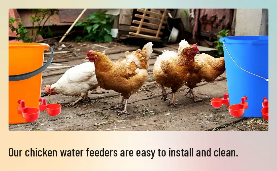 10/20/30pcs Chicken Waterer Tassen Chicken Feeder Cup für Chicken Duck Truthahn Kaninchen, 3/8 Zoll Faden Geflügel Bewässerungs futter – Detail 3