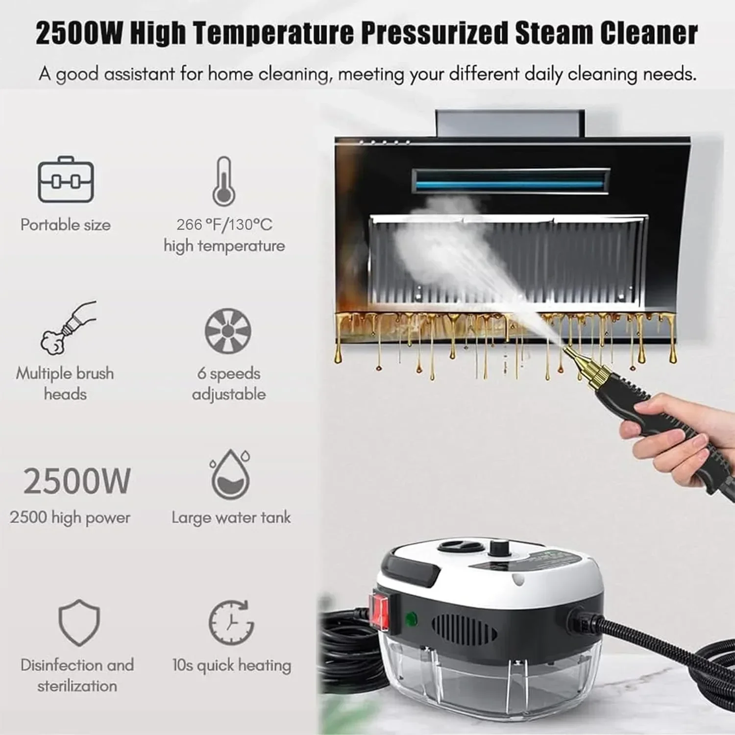 Handheld Steam Cleaner, 2500W High Temperature Pressurized Steam Cleaner with 3 Brush Heads for Kitchen for Home Use