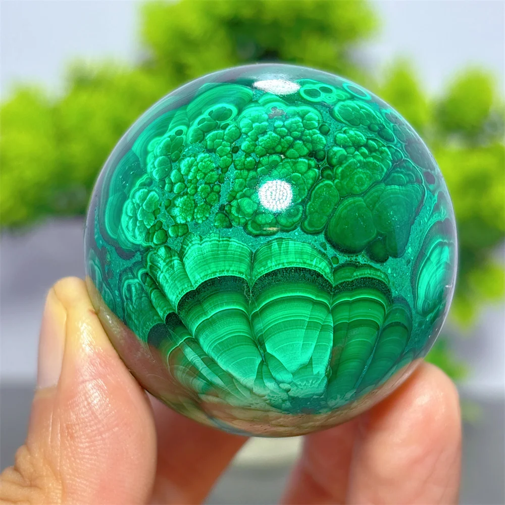 Malachite Sphere Natural Crystal Home Decoration Room Decor Lucky Auspicious Quartz Stone Garden Healing Energy Love Gifts Stand