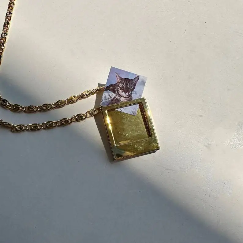 Europe America Gold Color Can Be Plugged in Hollow Out Photo Album Necklace UNISEX Can Hold Pet Photos, Photo Albums Necklaces